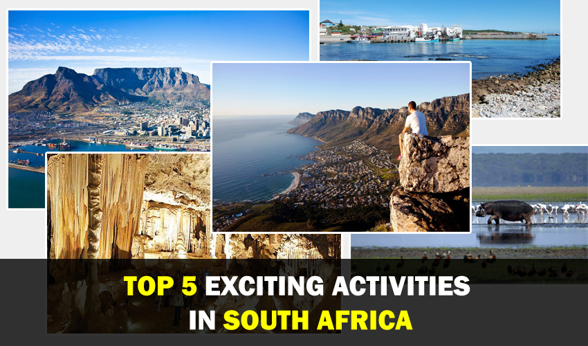 Top 5 Exciting Activities in South Africa