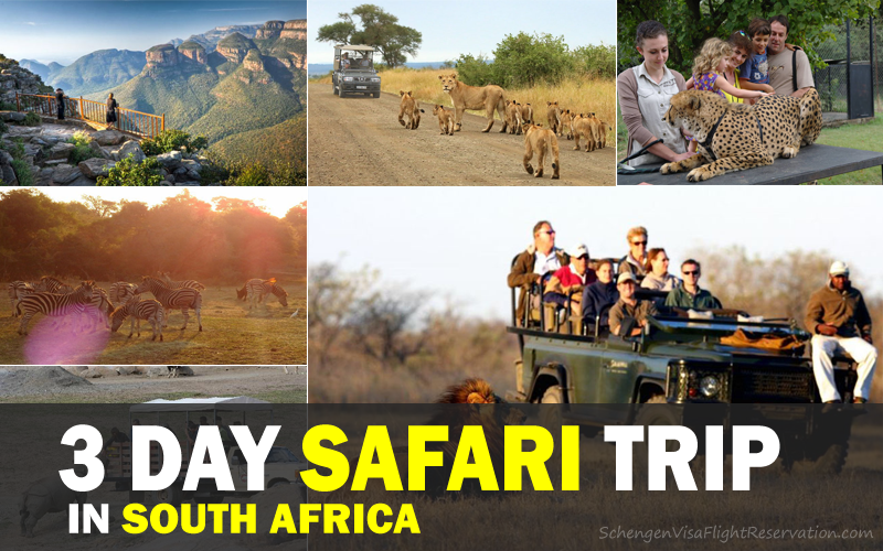 3 Day Safari Trip in South Africa