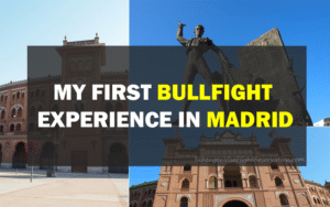 My First Bullfight Experience in Madrid