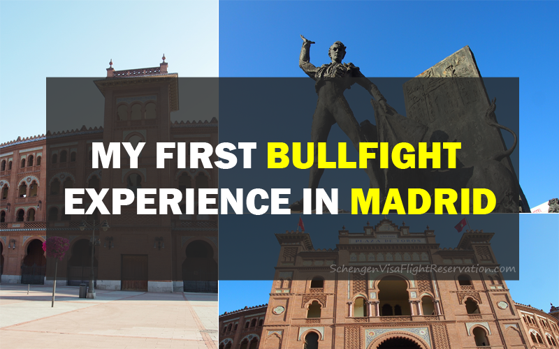 My First Bullfight Experience in Madrid
